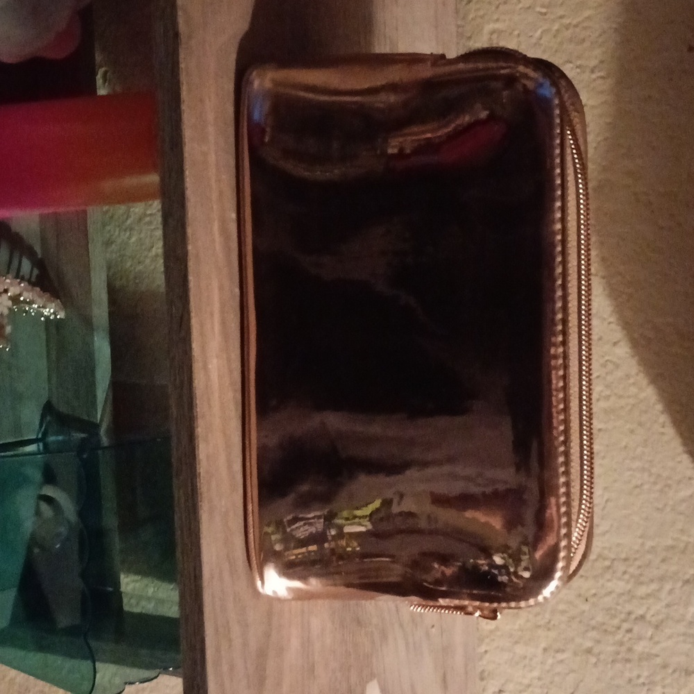 Ted Baker Rose Gold Case View 2